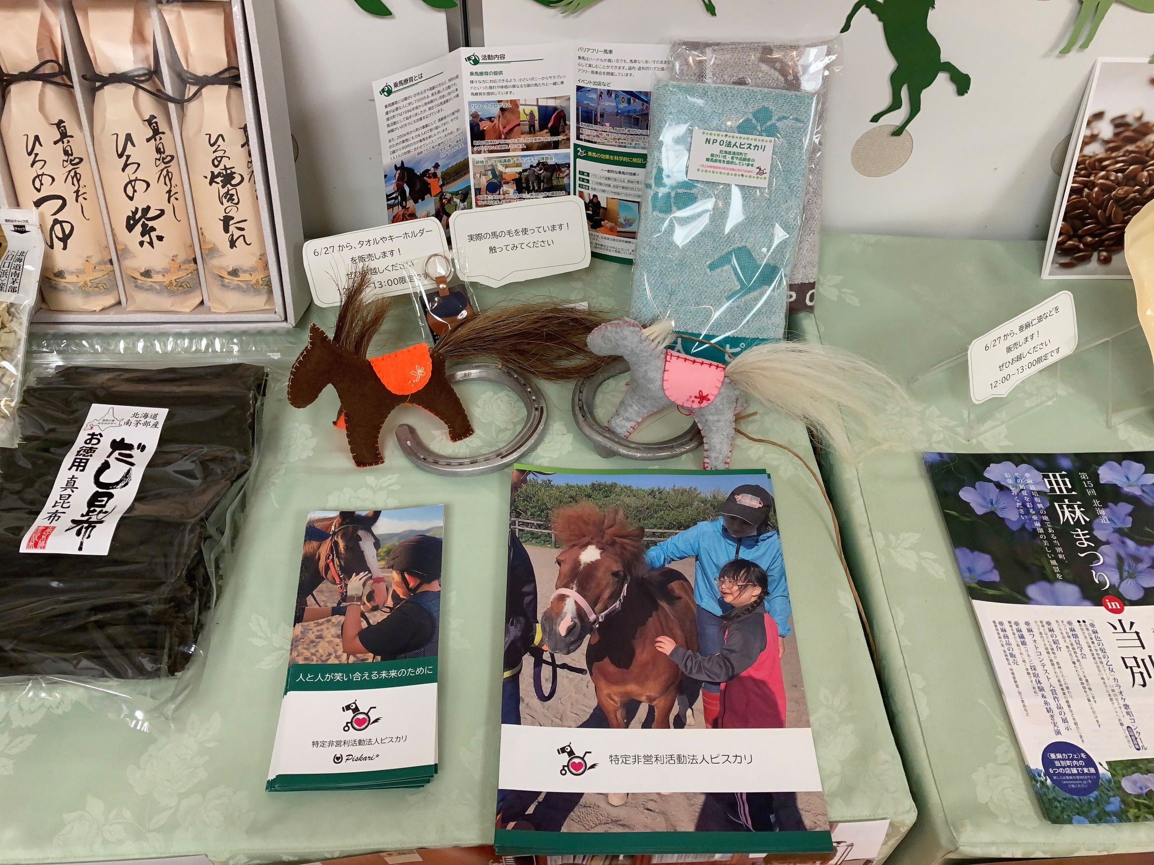 NPO法人ピスカリ展示