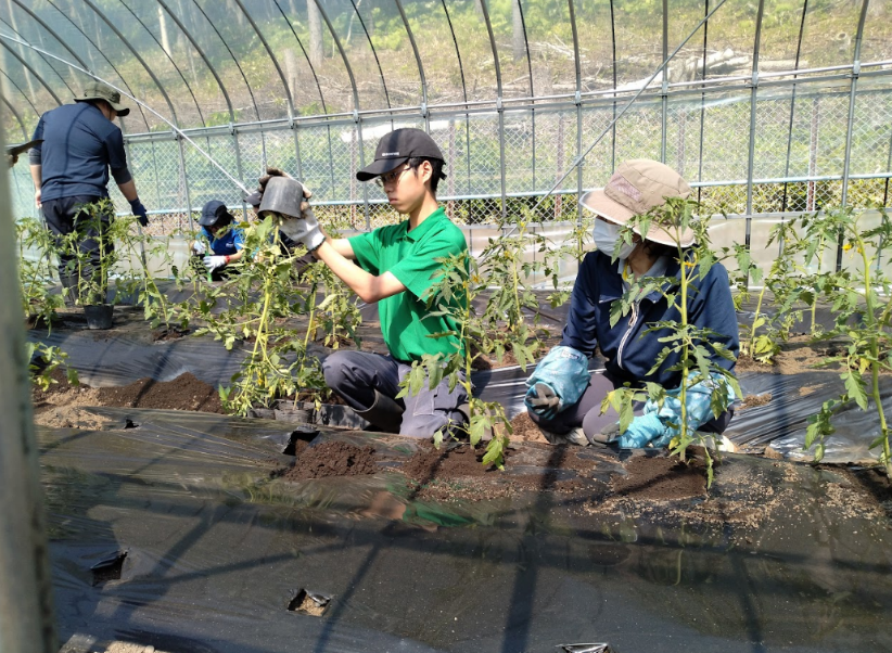 作業に取り組む生徒たち