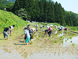 農林漁業体験