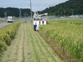 機械による刈り取り