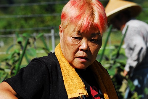 山本美千代