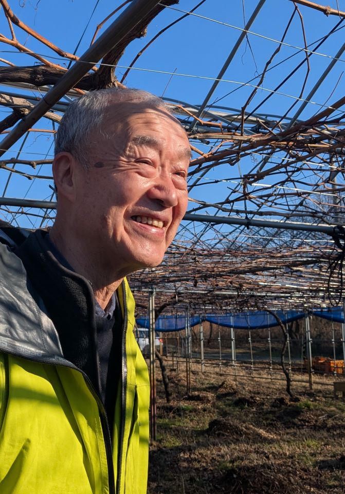 砂山ぶどう園・砂山