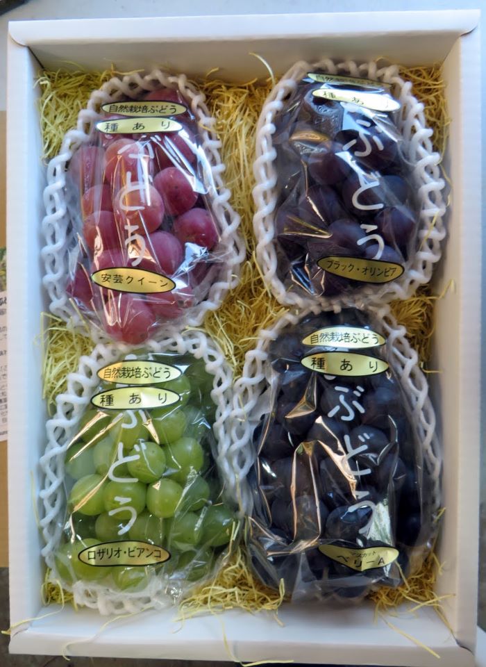 箱入りぶどう