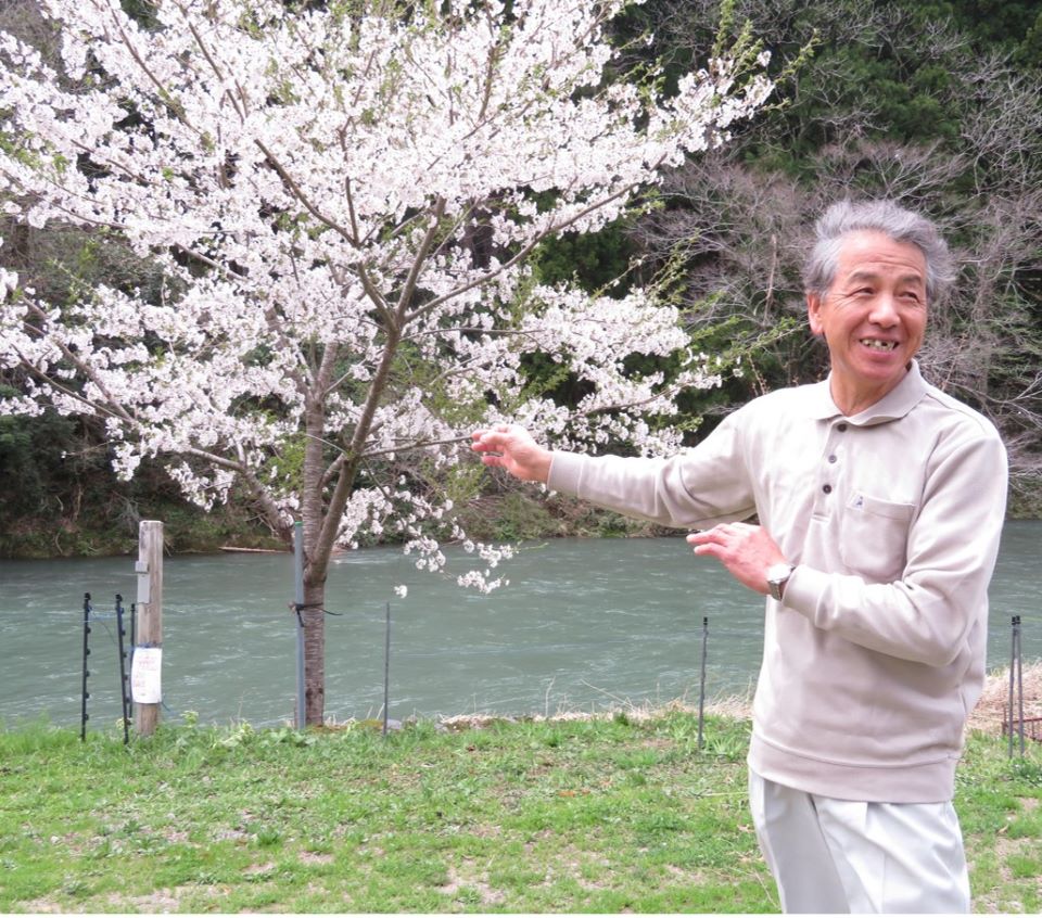 桜と大田氏