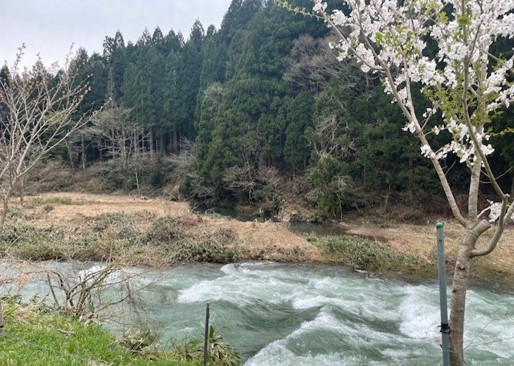 山