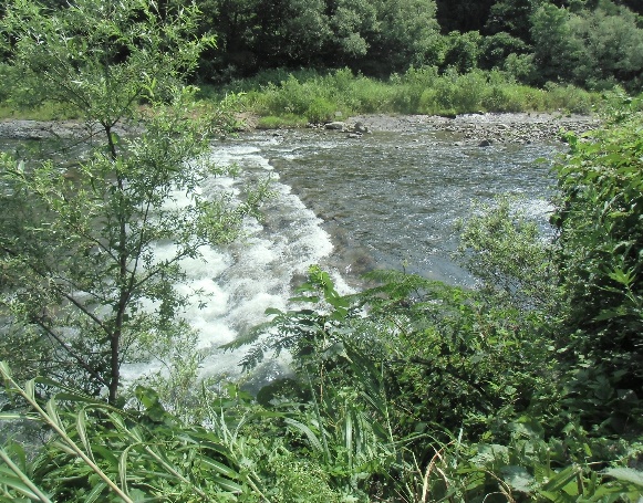 左岸側から見たサイホン横断部