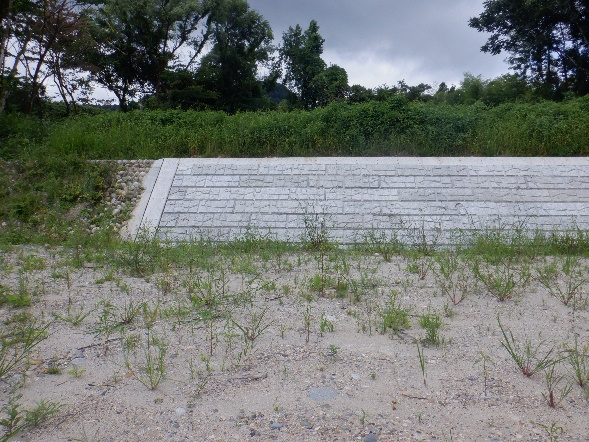 河川側から見た復旧後の左岸側サイホン撤去部