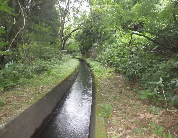 撤去予定の第1頭首工掛り右岸幹線用水路