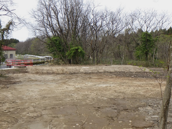 左岸側整地復旧後の様子