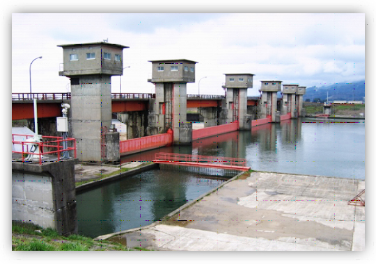 内の倉ダム（下流より望む）