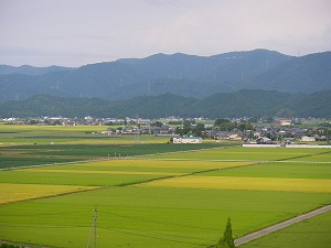 坂井・福井平野