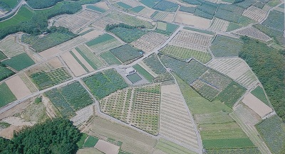 坂井北部造成地