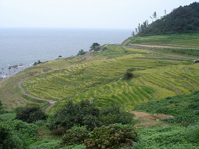 輪島・千枚田