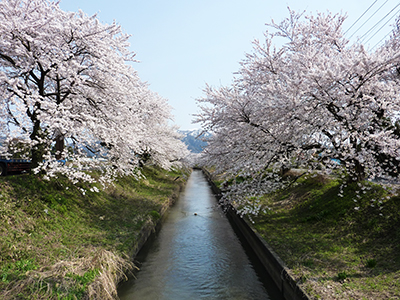 横平川取水工の写真（中魚沼郡津南町）