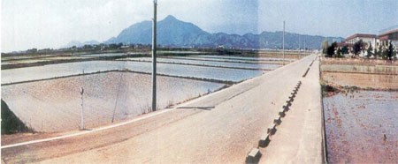 巻町堀山地内