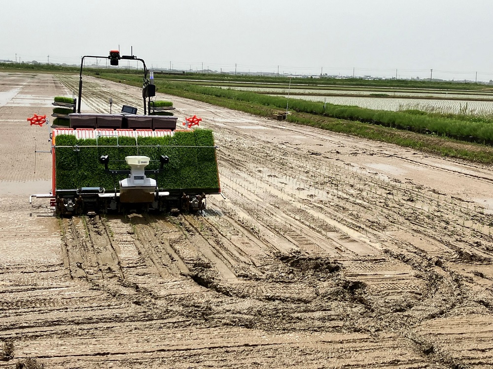 スマート田植え機による田植え作業