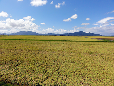 弥彦山と角田山