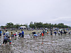 燕市田んぼアート田植え