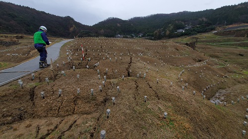 (写真1)