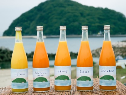 オリジナルミカンジュース