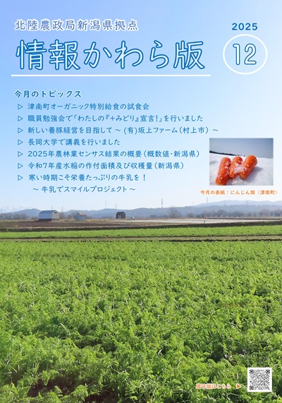 情報かわら版（令和7年12月号）