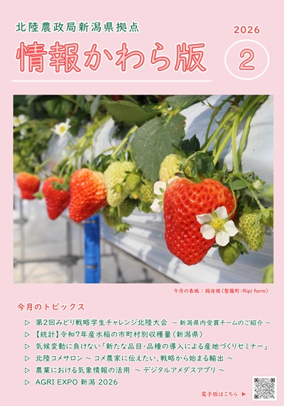 情報かわら版（令和8年2月号）
