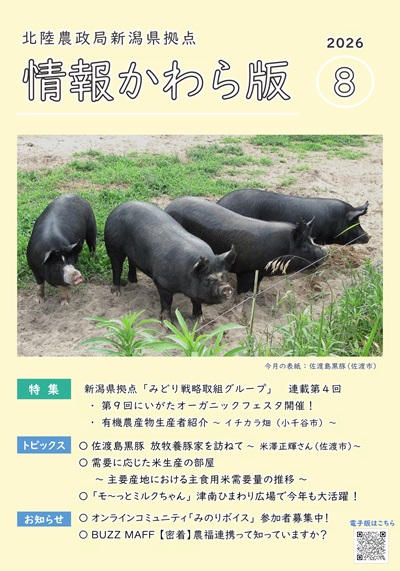 情報かわら版(令和8年8月号)