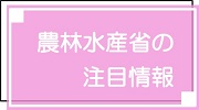 注目情報