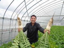 源助だいこんと松本氏