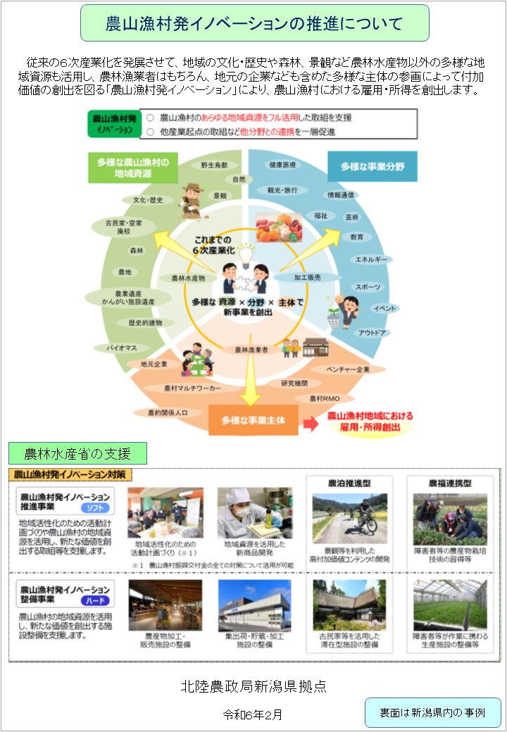 イノベパンフ