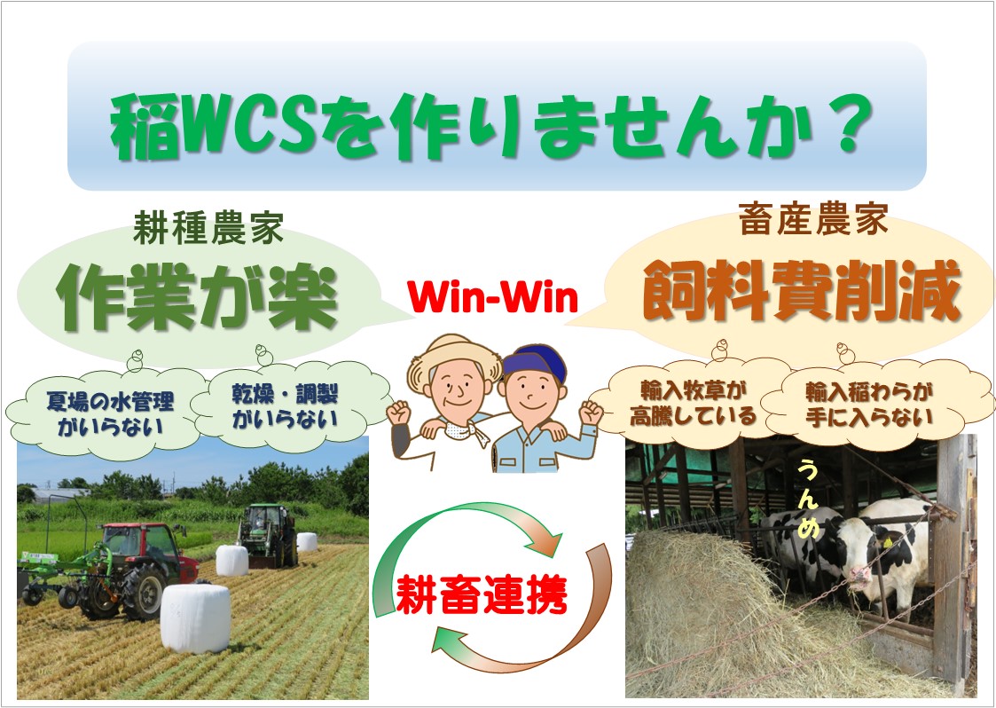 WCSチラシ