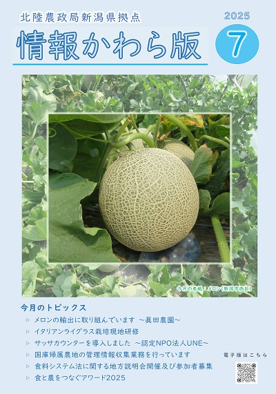 情報かわら版7月号