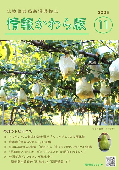 情報かわら版11月号