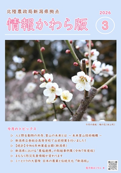 情報かわら版3月号