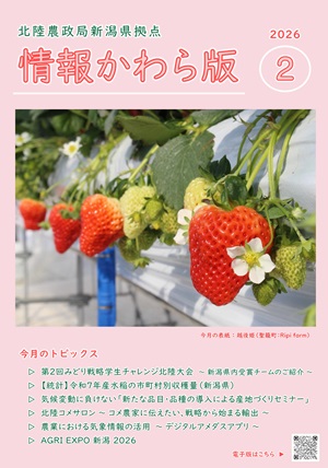 情報かわら版（令和8年2月号）