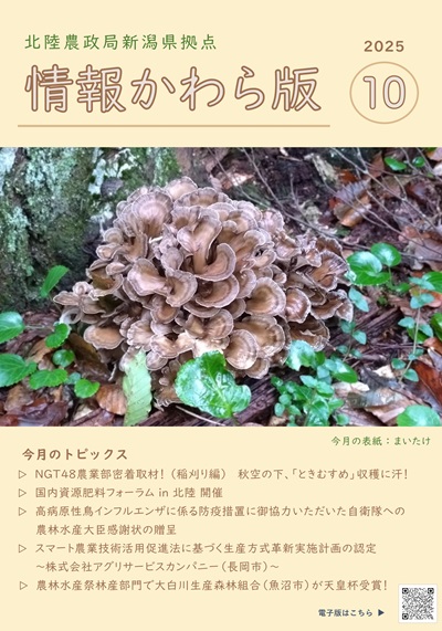 情報かわら版（令和7年10月号）