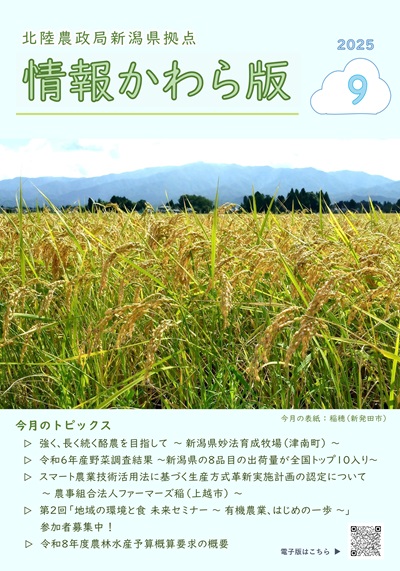 情報かわら版（令和7年9月号）