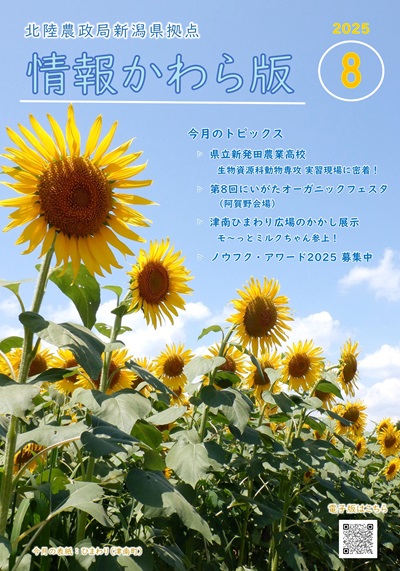情報かわら版（令和7年8月号）