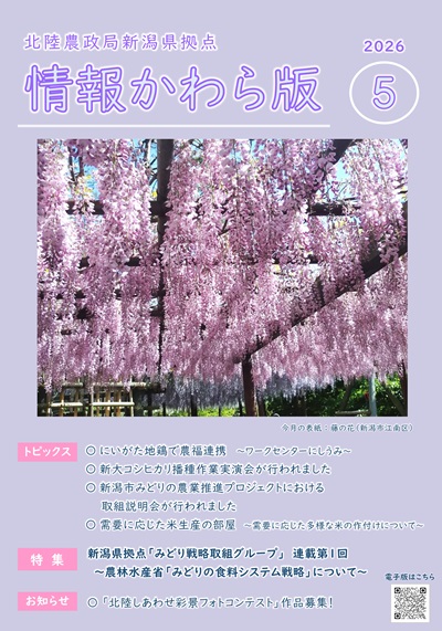 情報かわら版（令和8年5月号）