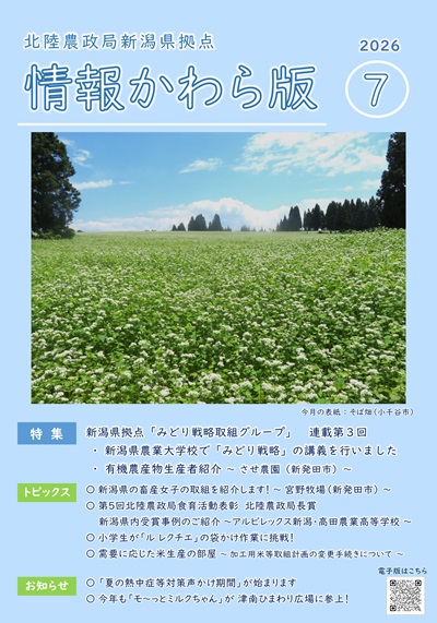情報かわら版7月号