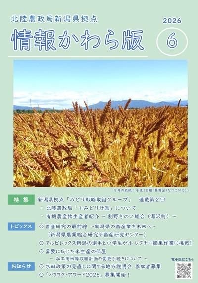 情報かわら版（令和8年6月号）