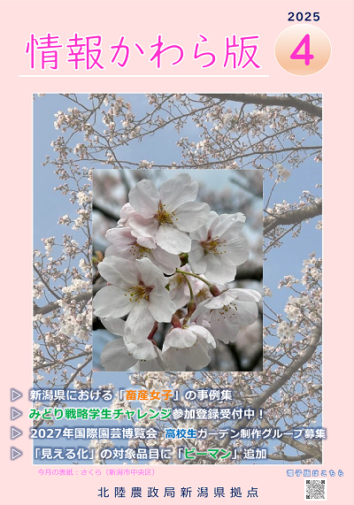 情報かわら版（令和7年4月号）