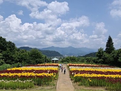 魚沼市の月岡公園