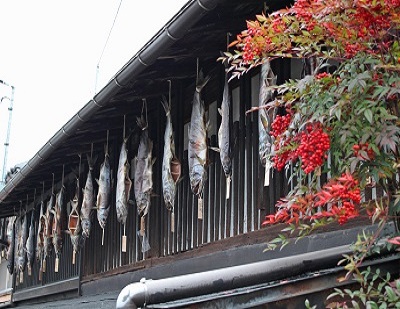 鮭街道1
