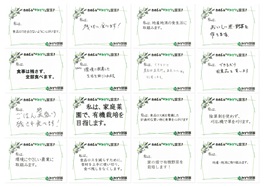 わたしのプラスみどり宣言