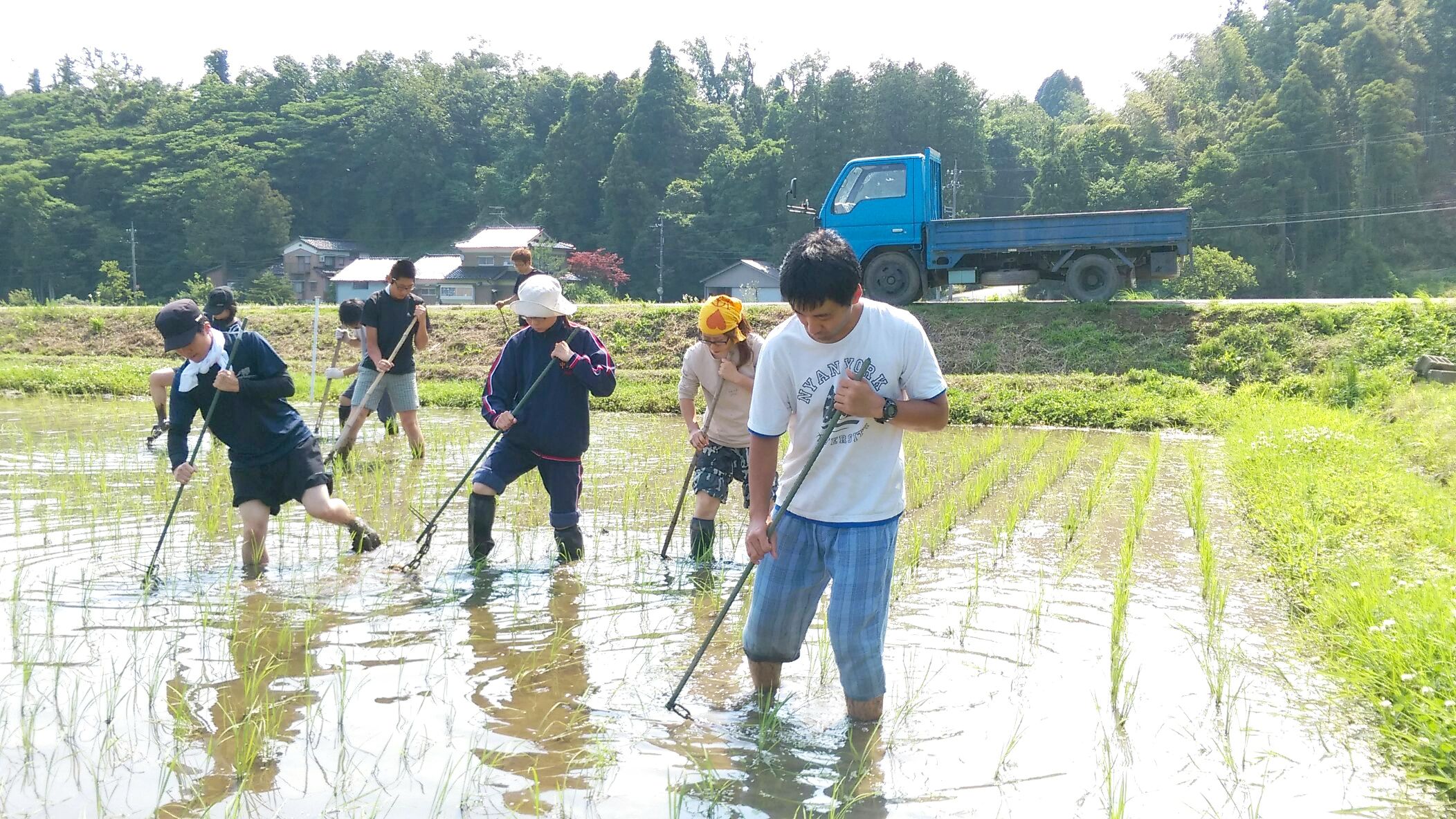 除草の様子