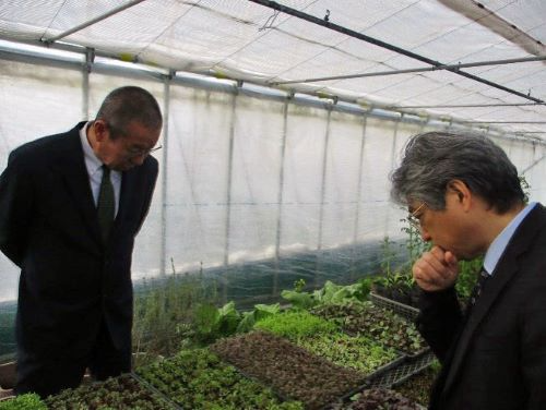 ハウスの見学をする本田局次長(右)