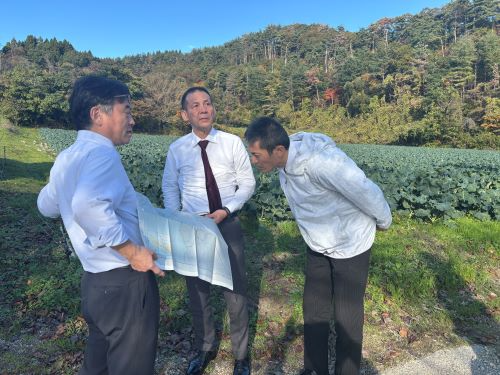 ブロッコリー畑において農地の被災状況を調査する植野局長