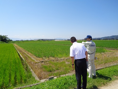 冠水被害(水稲・大豆)の被災状況確認(高岡市)
