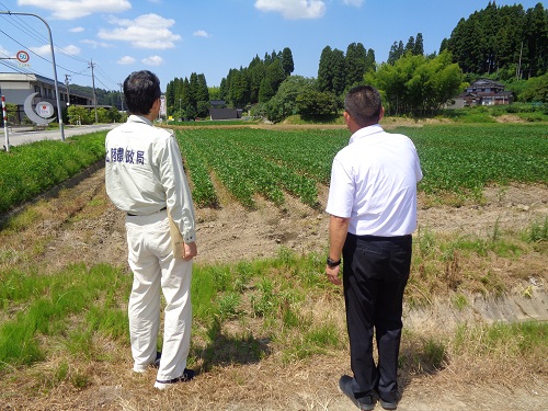 冠水被害(大豆)の被災状況確認(射水市)